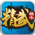 精武格斗游戏手机版