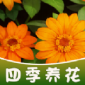 四季养花游戏红包版