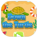 海滩上的乌龟挑战游戏手机版