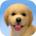 梦幻小狗 2.2.7