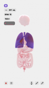life生命模拟器老版下载