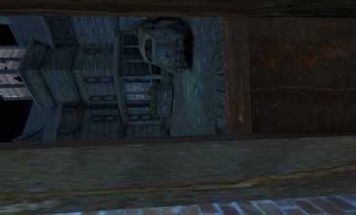 恐怖老奶奶3中文版截图