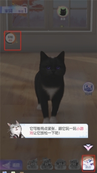 超喵星计划安卓版免费版