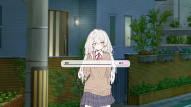 阿凉的幸运日中文版安装包下载