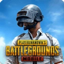pubg国际服版