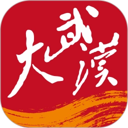 大武汉最新版