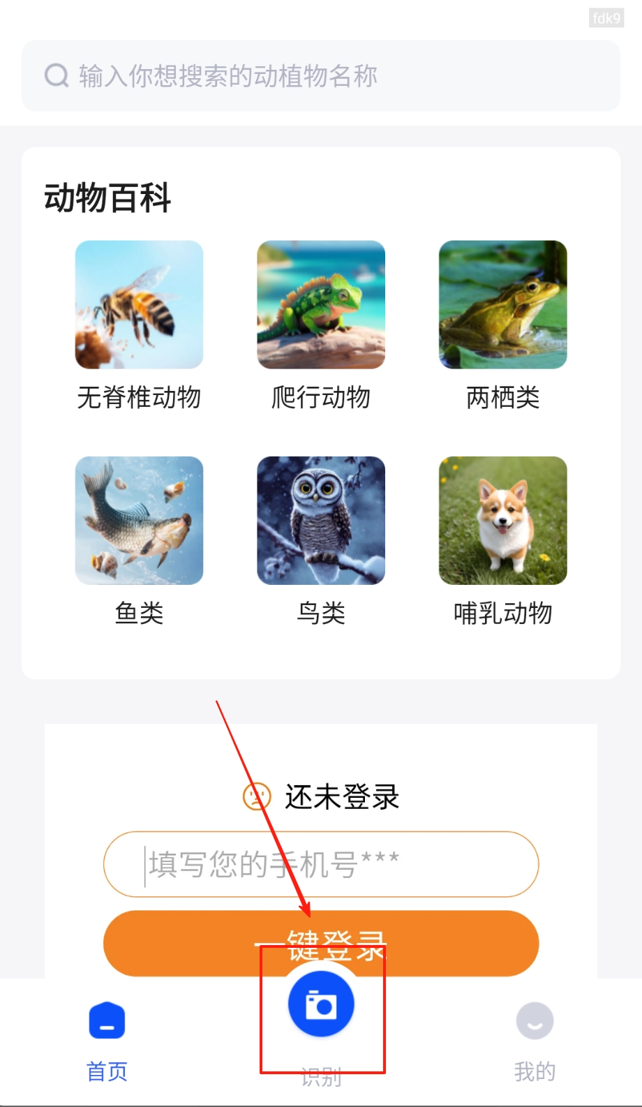 动物世界软件最新版下载