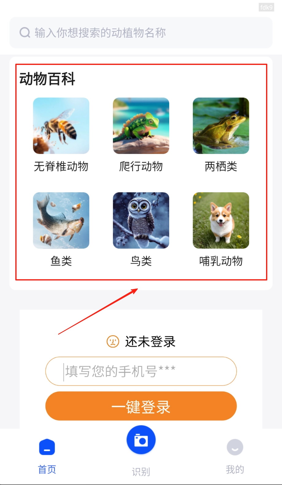 动物世界软件最新版下载
