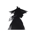 侠客日记